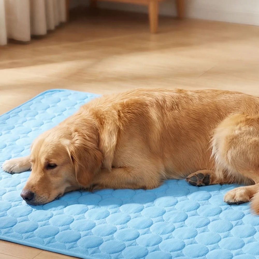 Chill Paws- Self-Cooling Mat for Dogs